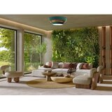  plafonsko svetlo triniti 2xE27/60W/230V zelena/zlatna | Eponuda.com