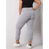 BASIC Feel Good Sweatpants-RV-DR-6300.19-gray | Shoptok.si