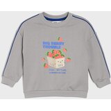 Sinsay Crewneck majica s tiskom jagoda | shoptok.hr