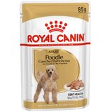 Royal Canin adult poodle - pašteta 85 g | Shoptok.si