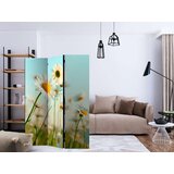  Paravan u 3 dijela - Daisies - spring meadow [Room Dividers] 135x172 | shoptok.hr
