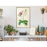  Poster - Romance I 40x60 | shoptok.hr