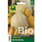 BIO melone Charentais Cene