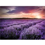 Wallity Slika 100x70 cm Lavender Field - | shoptok.hr