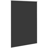 vidaXL Roleta Blackout Black 165x210 cm Širina tkanine 161,6 cm | Shoptok.si