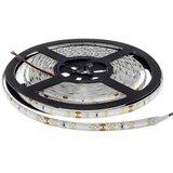  LED traka bijela CW F3528N 4,8W 6500K | shoptok.hr