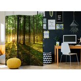 Artgeist PARAVAN 135/172/3 cm rumena, zelena | Shoptok.si