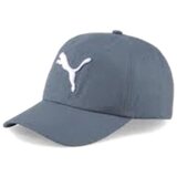 Puma Ess Cap Siva Cijene