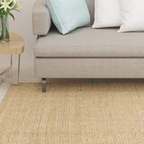 vidaXL Tepih od sisala za grebanje 66 x 200 cm Cijene