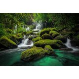 Monee STEKLENA SLIKA | Shoptok.si