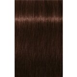 Schwarzkopf igora Royal - 4-68 srednje rjava čokoladna rdeča, 60 ml | Shoptok.si