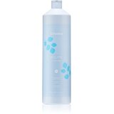 EchosLine Volume Conditioner balzam za volumen za tanke in poležane lase 1000 ml u