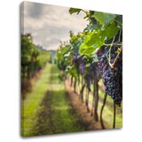  Slike na platnu GROŽĐE_091-12 (moderne slike na platnu) | ePonuda.com
