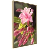  Poster - Garden's Centerpiece 40x60 Cijene