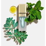 Dolce & Gabbana Fresh Mint Oil Lip Plumper oljast sijaj za ustnice za povečanje volumna odtenek Translucent 7 ml | Shoptok.si