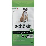 Schesir Dog Large Adult s janjetinom - 2 x 12 kg | shoptok.hr