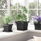  Kvadratna saksija za cvijeće 24 pcs Crna 23 x 23 x 17 5 cm - Crna 23 x 23 x 17 5 cm 24 | shoptok.hr