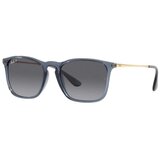 Ray-ban rb4187-6592t3 54 Cene