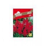 ROYAL SEEDS Sjeme kadulja crvena 208-02607 | Eponuda.ba