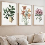 Opviq slika iz 3 dela | ePonuda.com