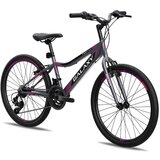 Galaxy Bicikl FESTINA 24"/18 siva/crna/roza MAT | Eponuda.com