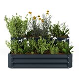 Blumfeldt High Grow Dvije razine Antracit | shoptok.hr