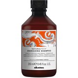 DAVINES Natural Tech Energizing Shampoo šampon za krepitev za redčenje las 250 ml Cene