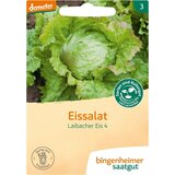 Bingenheimer Saatgut Solata ledenka - Laibacher Eis 4 - 1 pkt. | Shoptok.si