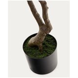 Kave Home Umetna rastlina (višina 180 cm) Pachira – | Shoptok.si