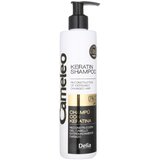 Delia Cosmetics Cameleo BB keratinski šampon za oštećenu kosu 250 ml | shoptok.hr