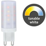  LED prigušiva sijalica G9/4W/230V 2200-6500K - Paulmann 28820 | Eponuda.com