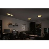 PAULMANN 71002 - LED/22W prigušiva panel atria 230V 3000K crna | Eponuda.com
