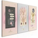  Slika - Unusual Plants (3 Parts) 120x60 Cijene