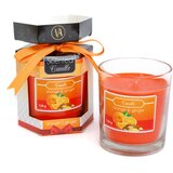 Vog und Arths Dišeča sveča z vonjem pomaranče in ingverja 120g v kozarcu | Shoptok.si