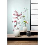 Asa vaza keramika | Shoptok.si