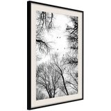  Poster - Treetops 40x60 | shoptok.hr