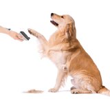 TESLA Electronics PetCare - Set za negu krzna kućnih ljubimaca 300W/230V | Eponuda.com