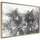  Poster - Dark Lillies 45x30 Cijene