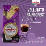 GIMOKA vellutato rainforest 100 % arabica pržena kafa u zrnu 500G cene