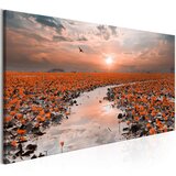  Slika - Lily Pathway (1 Part) Wide 100x45 Cijene