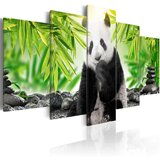  Slika - Sweet Little Panda 100x50 Cijene