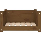  Pasja postelja medeno rjavo 55,5x45,5x28 cm trdna borovina, (20799583) | Shoptok.si