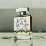 Victory Silver parfemska voda uniseks 100 ml | shoptok.hr
