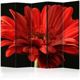  Paravan u 5 dijelova - Red gerbera flower II [Room Dividers] 225x172 Cijene