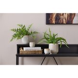Modern Living Okrasni Lonček Mood | Shoptok.si