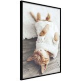  Poster - Kitten Life 20x30 Cijene