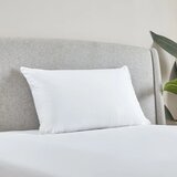 Catherine Lansfield Punilo za jastuk s memorijskom pjenom 48x74 cm Luxury Multi Relax – | shoptok.hr
