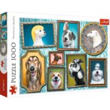 Trefl 10686 puzzle Sestavljanka 1000 kos Ostalo | Shoptok.si