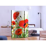 Artgeist PARAVAN 135/172/3 cm zelena, rdeča Slike