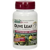 Herbal aktiv olive Leaf - izvleček listov oljke 500